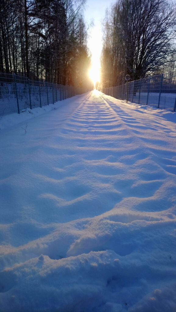 first step out of the hamster wheel - a clear path forward.