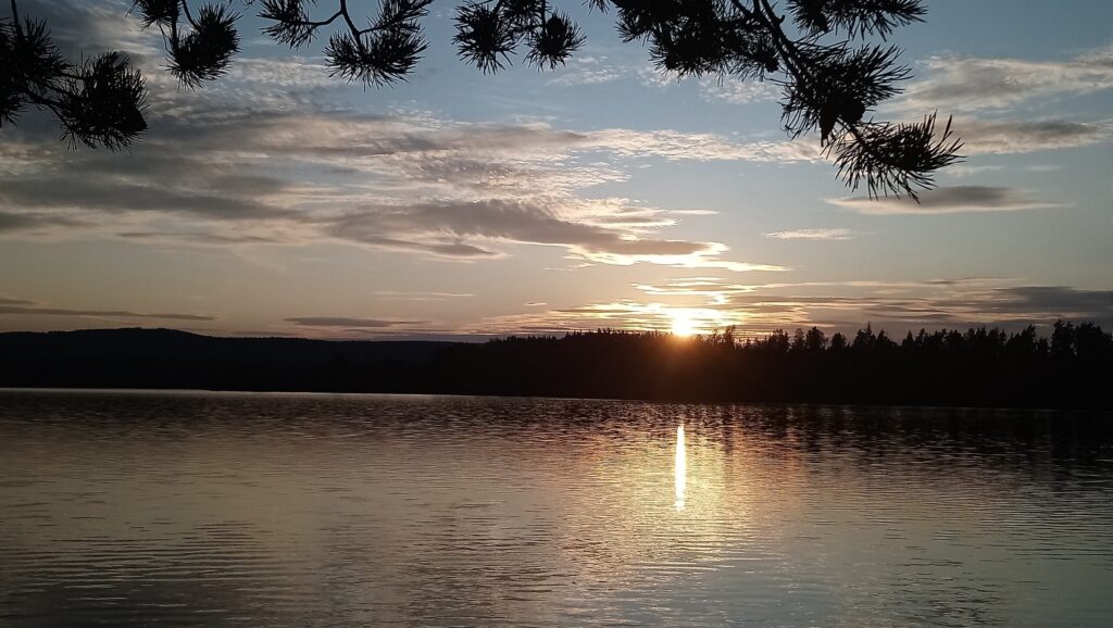 Sunset over a large lake with pine branches in the foreground, symbolizing the freedom after creating your first digital product