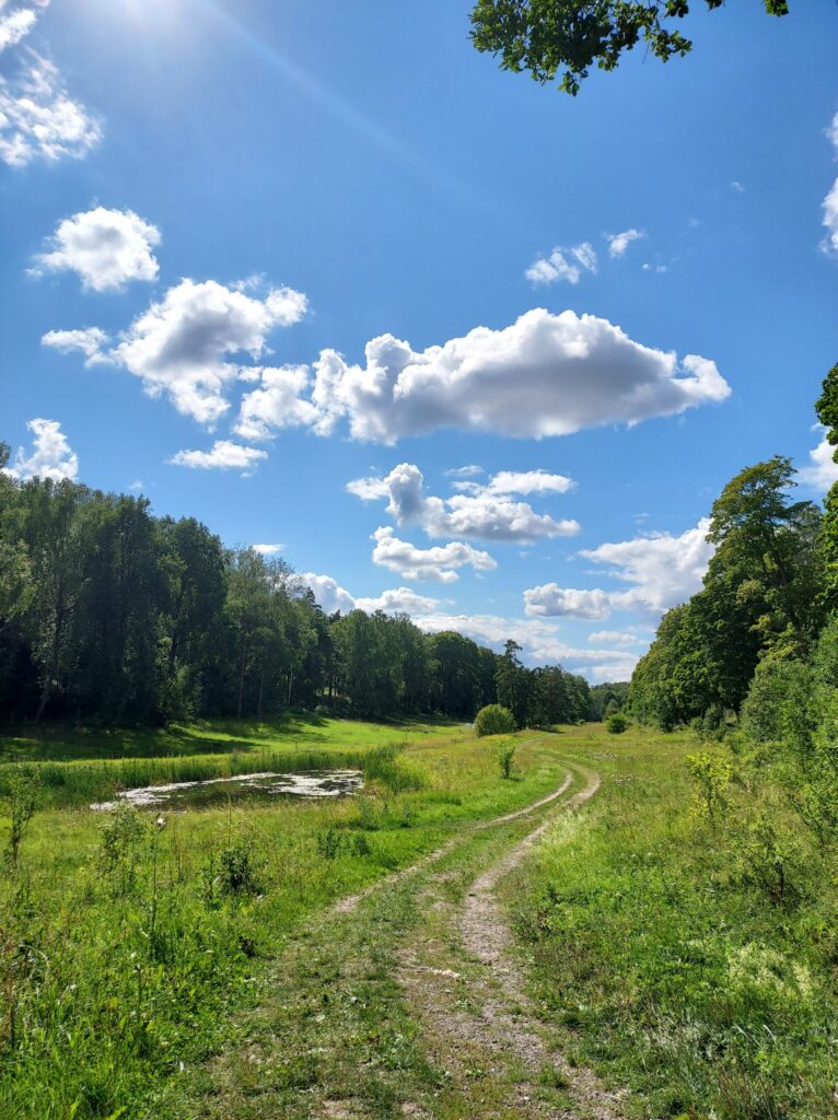 Choosing your own path – Money vs Time